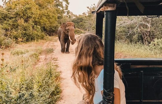 Instagramble Sri Lanka – 7 Days
