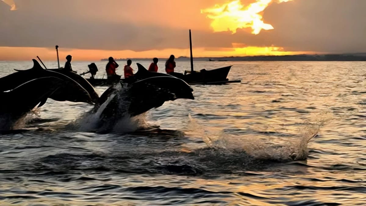 North Bali : Spectacular Terraces, Waterfall and Lake Temple