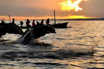North Bali : Sunrise with Dholpin, Waterfall and Iconic Gate