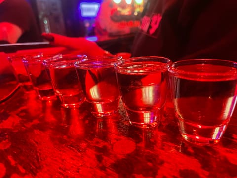 Private Icelandic Bar Crawl Experience, photo 5