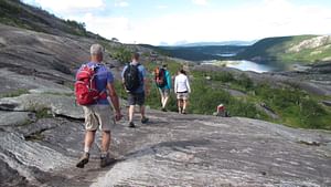 Hiking - Day Trip to Åselidalen in Bodø