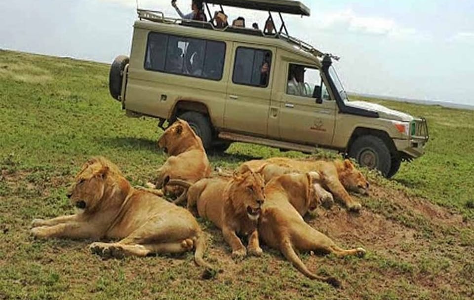 Safari 10 Days, 9 Nights – Lake Nakuru, Maasai Mara, Naivasha, Amboseli & Tsavo