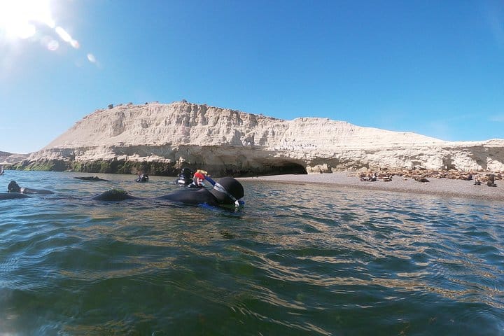 Snorkeling with Sea Lions in Puerto Madryn 9