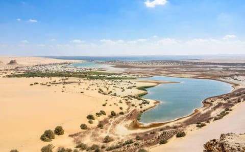 Cultural and Adventure Tour of Cairo, Alexandria, and Fayoum