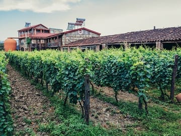 4 Full days in Georgia with private tour, free aiport