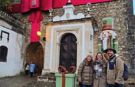 AVEIRO, NAZARÉ and OBIDOS: Private Tour from Porto