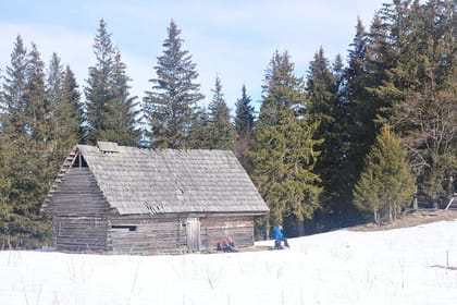 Hike in the Wild Private Photo Tour