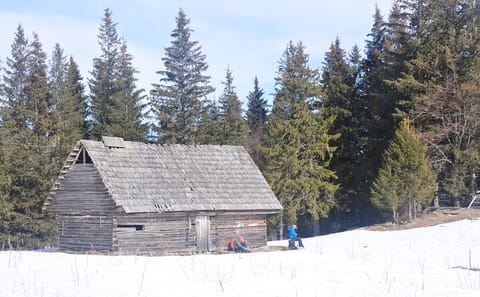 Private Hiking and Photography Tour in Brașov and Zarnesti