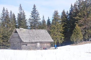 Private Hiking and Photography Tour in Brașov and Zarnesti
