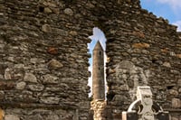 From Dublin: Wicklow, Glendalough, Waterfall & Sheepdog demo 7