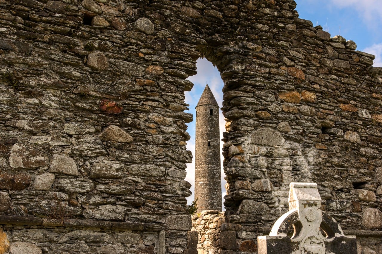 From Dublin: Wicklow, Glendalough, Waterfall & Sheepdog demo 7
