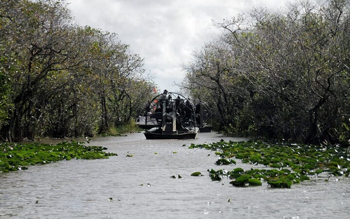 Everglades National Park Airboat Tour with Roundtrip Transfer