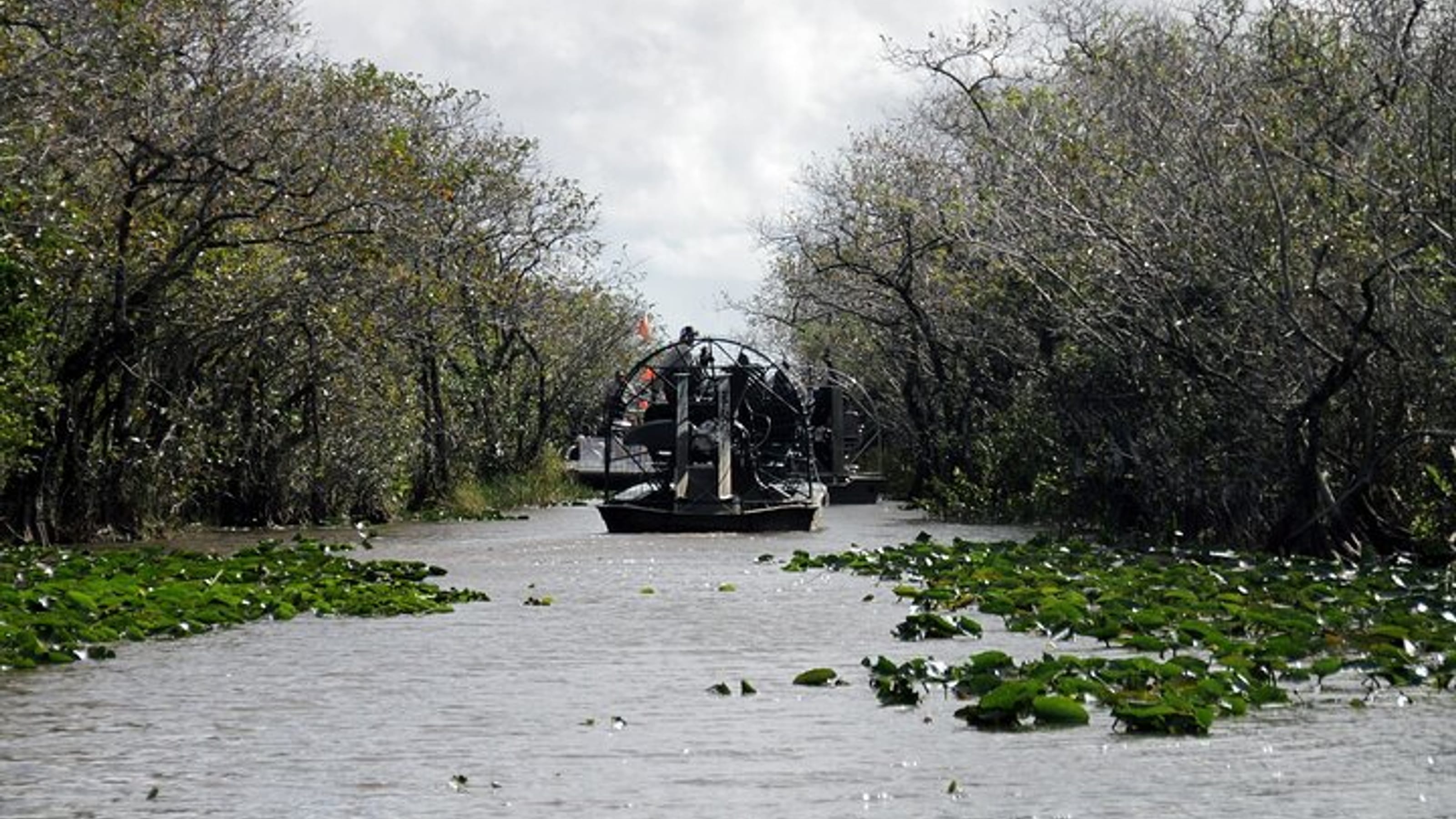 Everglades National Park Airboat Tour with Roundtrip Transfer