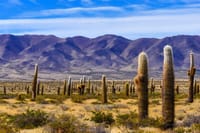 Flavors of Altura, I lived Cachi and Hornocal in 2 days 3