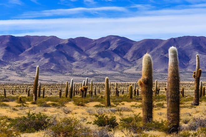 Flavors of Altura, I lived Cachi and Hornocal in 2 days 3