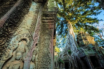 Private Angkor Wat Sunrise and Temple Highlights Tour