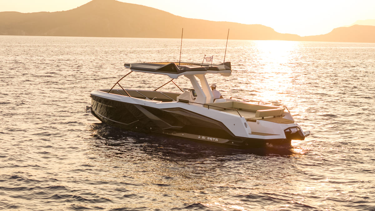 ❖ Alesta Raptor | Private