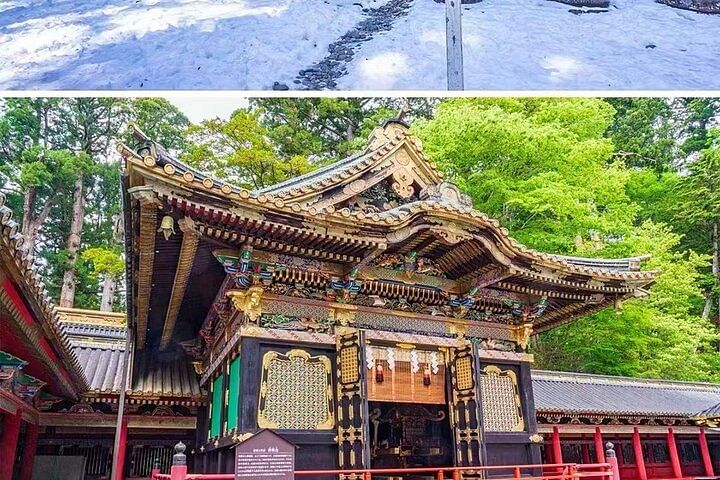 Nikko Toshugo Shrine and Nature View 1-day Tour | from Tokyo