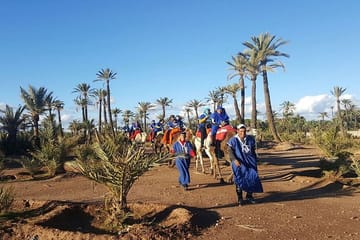 Camel Ride Through Marrakech Palm Grove Oasis