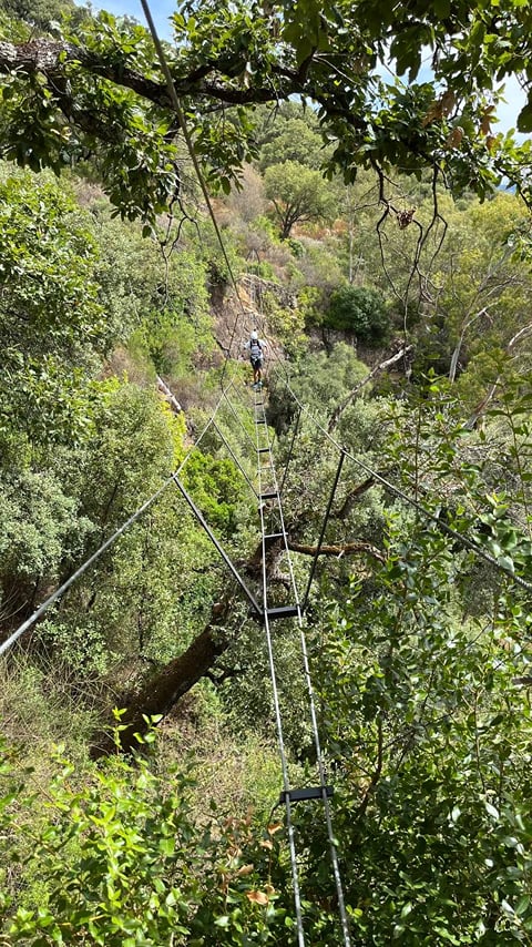 Via Ferrata El Caimán: Adventure and Scenic Beauty in Alcornocales Natural Park 8