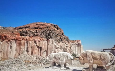 Petroglyphs and Sillar Rock Formations Tour in Arequipa