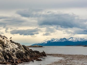 Sailing Tour of Beagle Channel from Ushuaia, Argentina