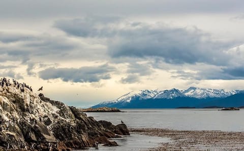 Sailing Tour of Beagle Channel from Ushuaia, Argentina