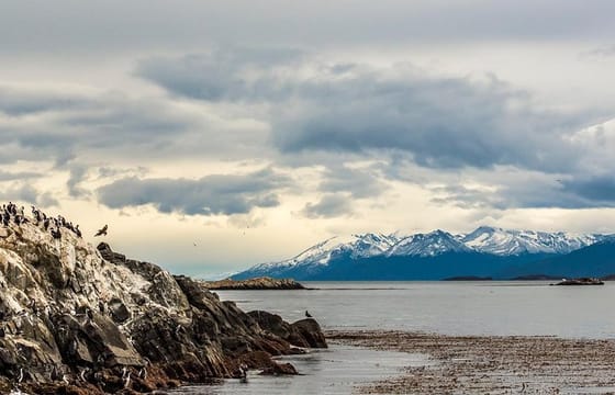 Beagle Channel Sailing Experience on a Catamaran