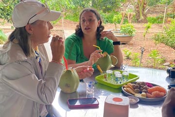 Private Mekong Delta Orchard Tour from Ho Chi Minh City