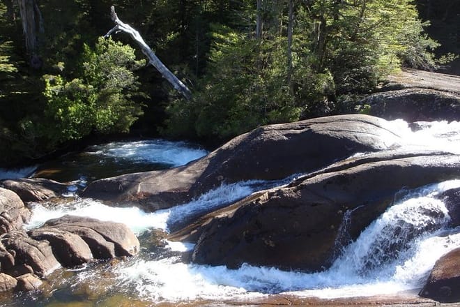 Bariloche: Puerto Blest, Cantaros Waterfall and Frias Lake photo 6