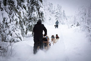 Self-driving Husky Tour 7km Levi (The Ranch)