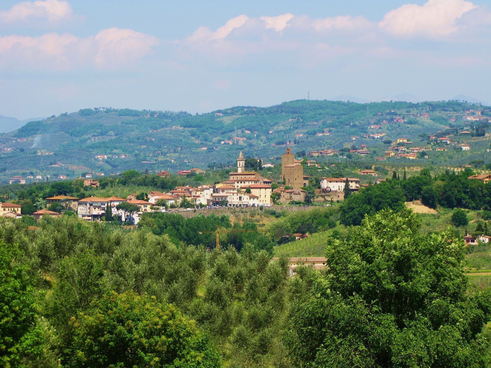 Panoramic view of Vinci