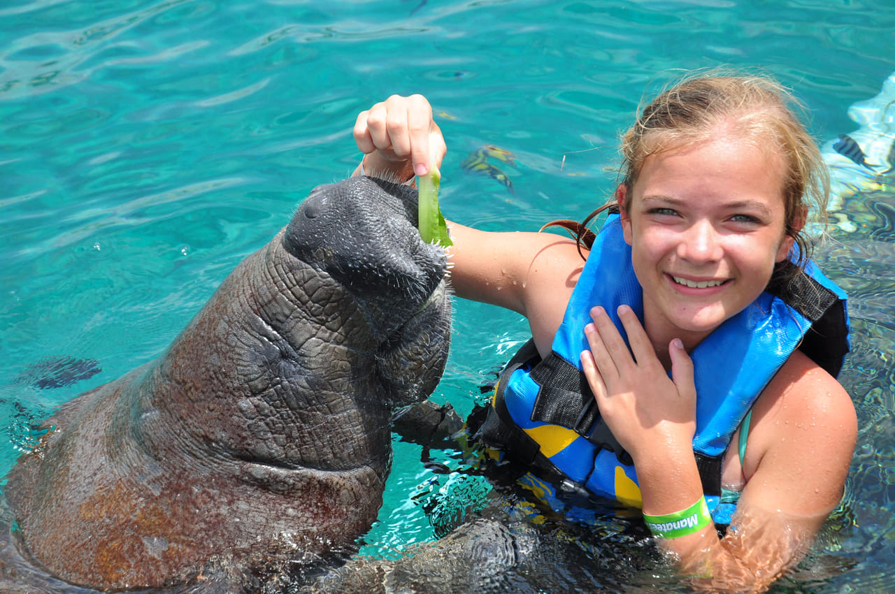 Riviera Maya-Puerto Aventuras Manatee Encounter  6