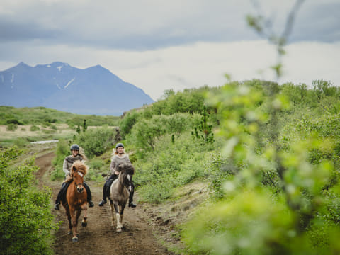 1,5h Trail Ride for All Levels, photo 3