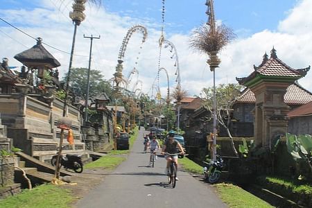 Scenic Kintamani to Ubud Cycling Tour: Discover Bali's Volcano and Rice Terraces