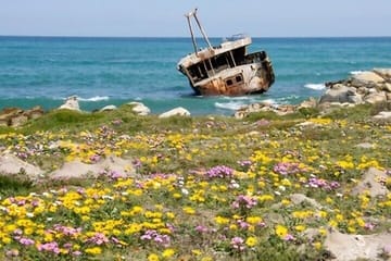 Tip of Africa Tour Cape Aghulas