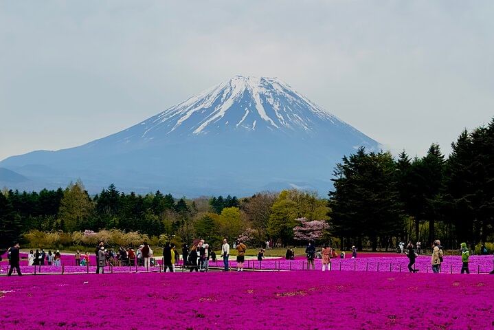 VIP Mt. Fuji & Hakone With Beautiful Lakes Customized Day Tour