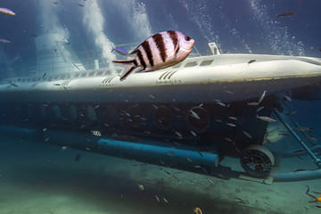Underwater Exploration Tour in Hurghada's Sindbad Submarine