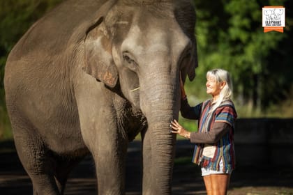 Chiang Mai: Volunteer program