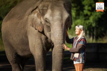 Chiang Mai Elephant Care and Conservation Volunteer Program