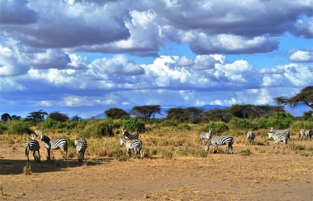 Day Trip – Tsavo East National Park ( Man Eater Lions of Tsavo & Other Big Five)