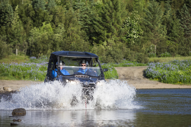 Buggy & Whales photo 5