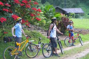 Full-Day Advanced XC Downhill Biking at Doi Suthep National Park Chiang Mai