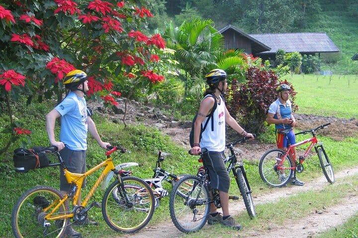 Full-Day Advanced XC Downhill Biking at Doi Suthep National Park Chiang Mai 5