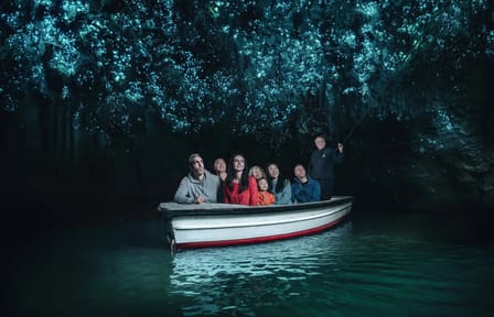 Day Tour to Waitomo Glowworm Caves and Hamilton Gardens
