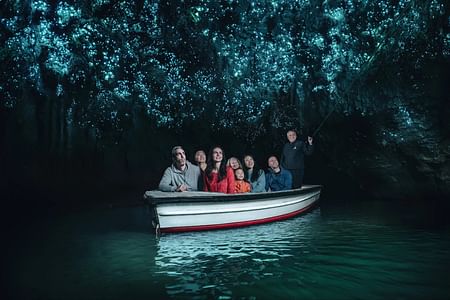 WAITOMO Ruakuri Caves & Hamilton Gardens – Private – Day Tour from Auckland