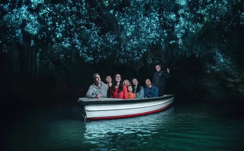 Day Tour to Waitomo Glowworm Caves and Hamilton Gardens