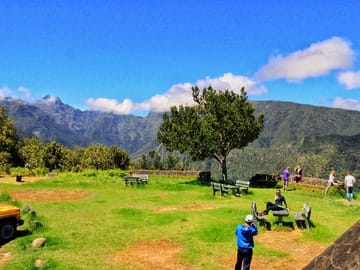 Full-Day 4x4 Tour of Culinary Delights in Madeira