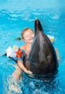 Premium 5 Minutes Dolphin Swimming Experience - Hurghada 1