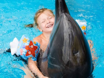 Premium 5 Minutes Dolphin Swimming Experience – Hurghada